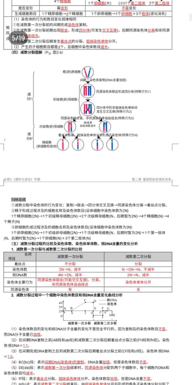 减数分裂图像讲解，减数分裂图文详解--随时随地学生物