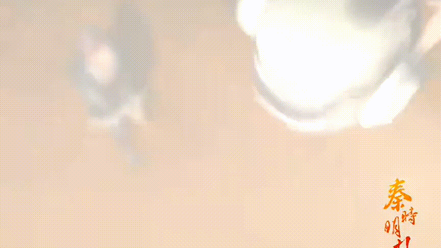 秦时明月卫庄，秦时明月卫庄人生巅峰时间