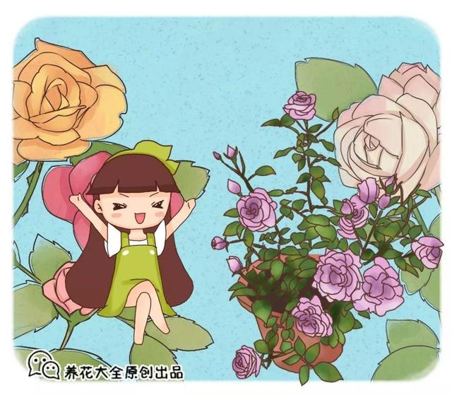 12个街头常见骗术，这些花市门口的骗术