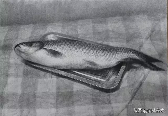 学画画零基础先学什么，零基础素描应该先练什么（零基础绘画教程，值得收藏）