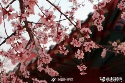 天津特色文化一日游，独家天津旅游手绘攻略新鲜出炉