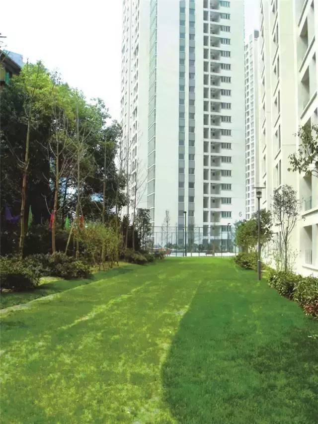 消防车道的设计要求，消防车道设计要注意哪些