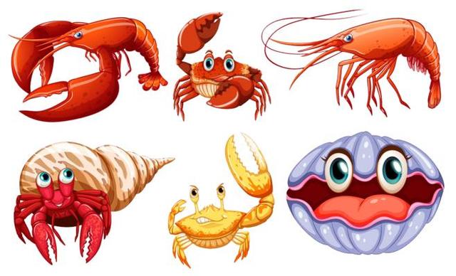 猫可以吃韭菜吗，猫咪不可以吃的5种禁忌食物