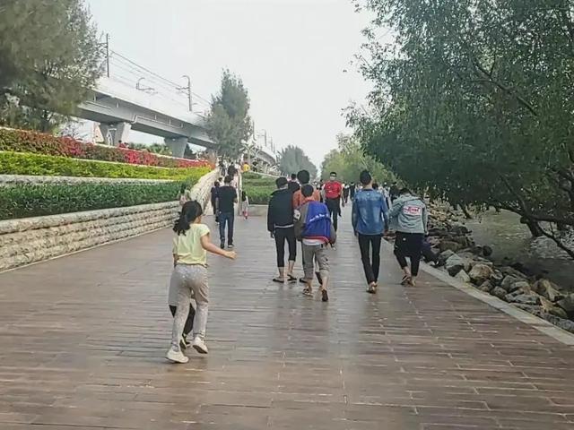 深圳宝安最美打卡点，深圳西湾红树林攻略