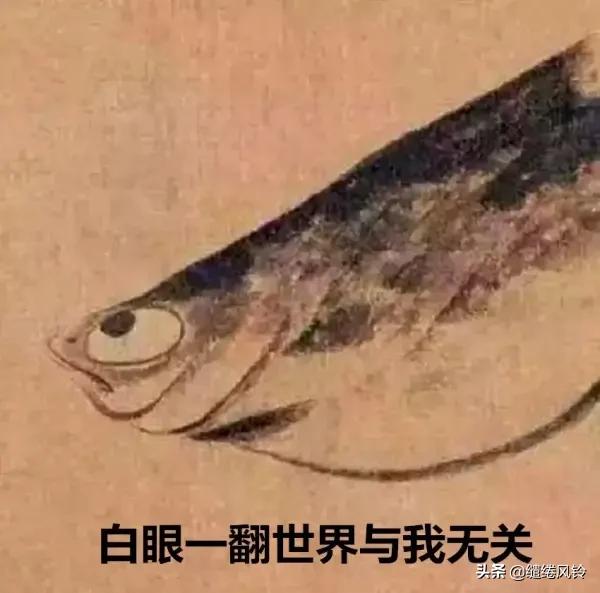 雪个，对八大山人朱耷的评价