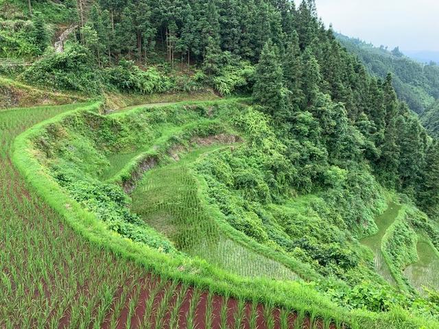 黔东南小七孔旅游攻略，不只是一座古桥<二游荔波>