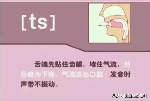 英语音标怎么学，初学英语者必看如何学习国际音标（资深老教师说：音标就该这样学）