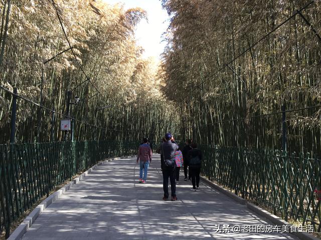 红螺寺求什么最灵验，红螺寺灵验（红螺寺在哪里求什么最灵验）
