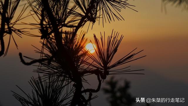 黄山特色景点一日游，黄山一日游攻略