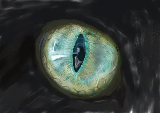 如何分辨猫咪的眼睛有没有瞎，猫咪真的能看见诡异的东西吗