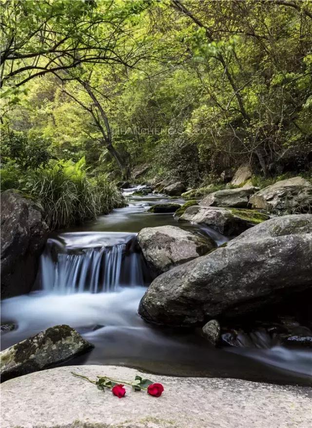 安康这几个地方才是今夏最适合避暑的清凉胜地，西安适合避暑好地方