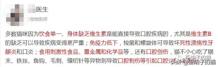 猫咪嘴臭怎么去除，猫咪口臭怎么办