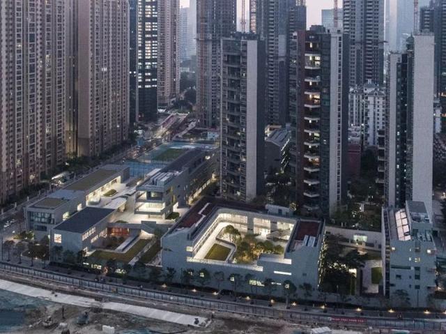 深圳南山外国语学校，深圳外国语学校哪所好（<集团>高级中学二类自主招生专项合格名单及专业合格分数线公示）