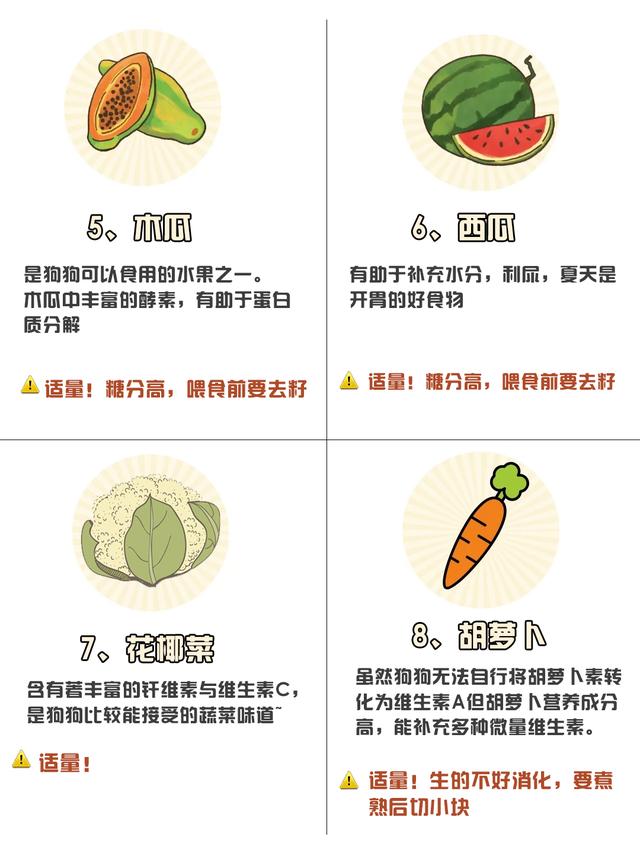 狗狗能吃什么东西，狗狗要多吃的七种食品（狗狗可以吃的10种人类食物）