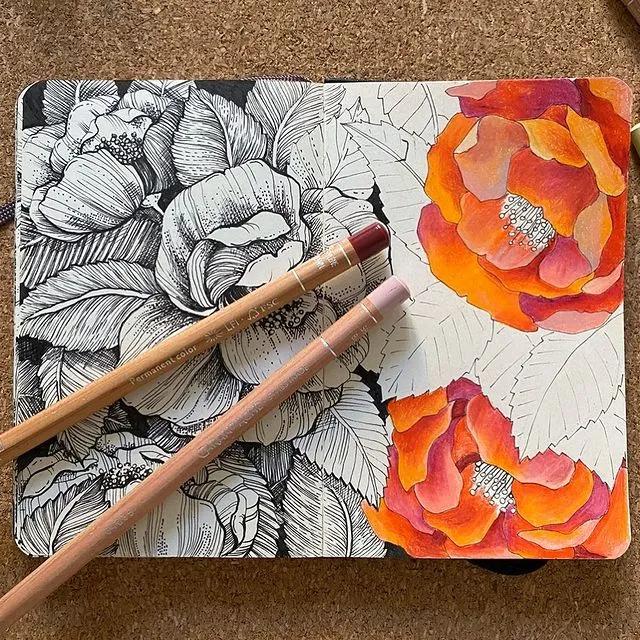 妙笔生花水墨画教程，教科书级别的植物线描