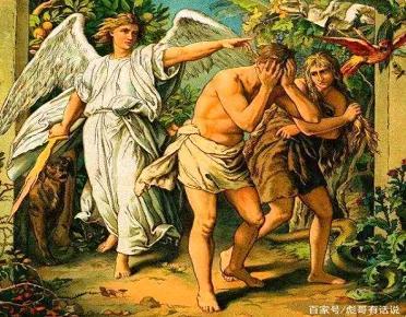 你看到的是什么样的苹果，改变世界的四个苹果