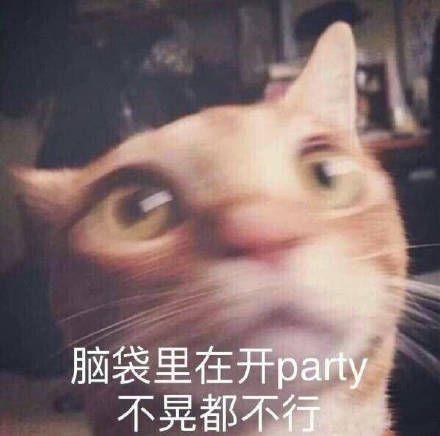 刘叉叉教琦琦社会摇，一个牌牌琦倒下