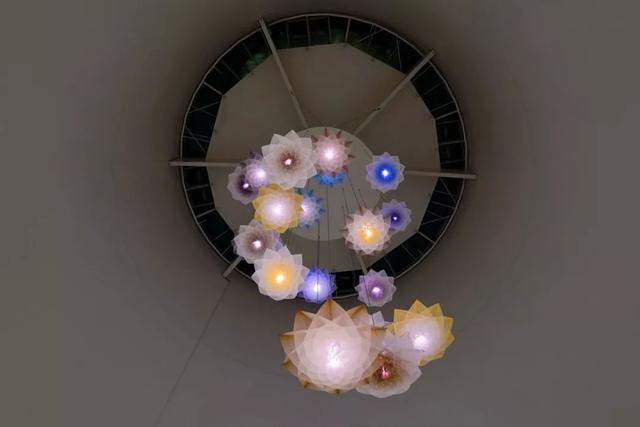 施华洛世奇摆件，施华洛世奇经典款天鹅摆件（这次又是什么绝美造型）