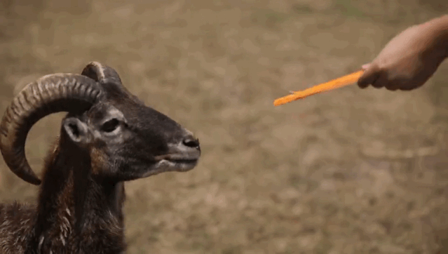 8.4号南京免费开放的景点，南京有这11家景点限时免费开放
