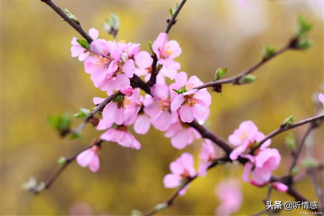 济宁周边的旅游景点推荐，济宁这九个周边游好去处