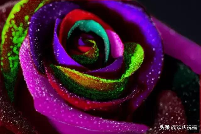 七夕送什么明天2.14日情人节，999玫瑰送给所有朋友，祝你们情人节快乐