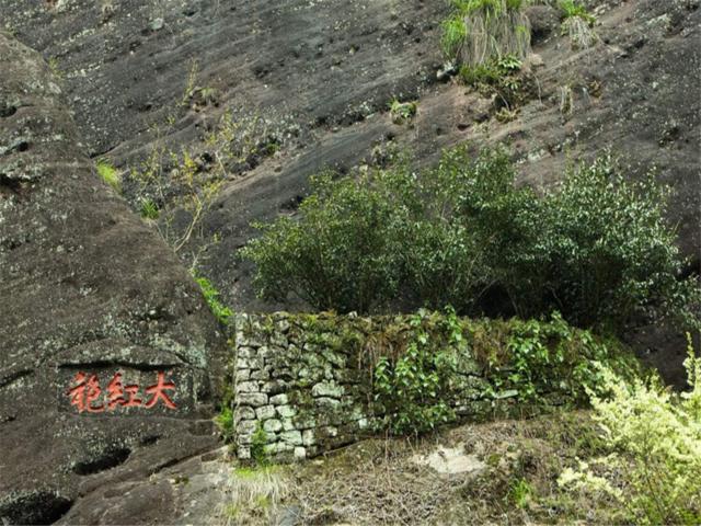 福建南平有什么旅游景点吗，福建省南平市值得游玩的旅游景点有哪些