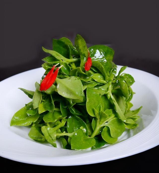 最适合家庭净化空气的花，17种公认的养人花