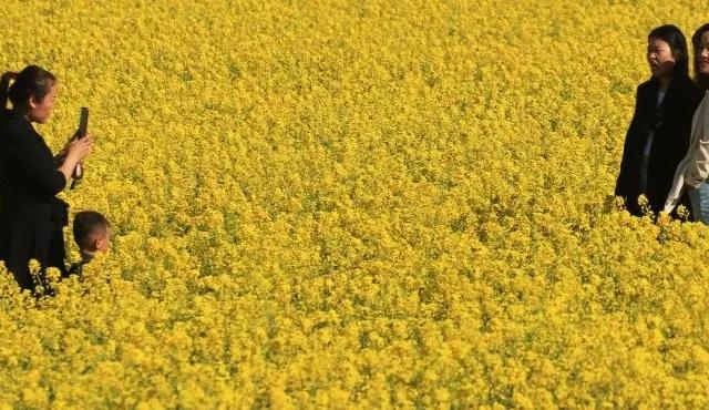 咸阳旅游详细攻略，必去游玩的景点有哪些