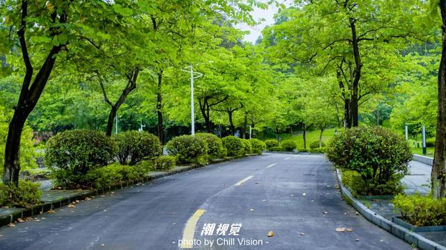 广东最好的大专，广东省最好的五间大专院校