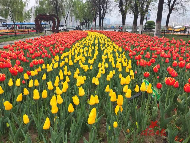 咸阳旅游详细攻略，必去游玩的景点有哪些