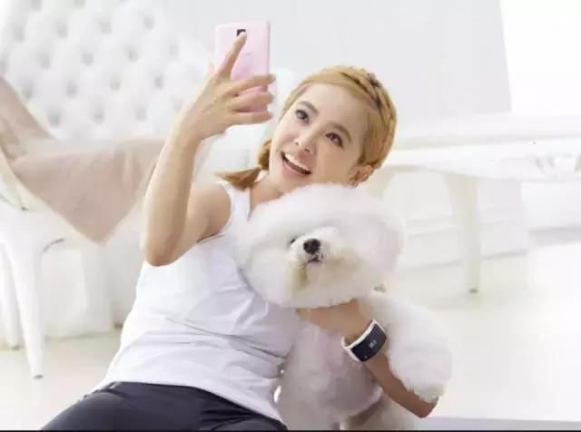 100多种狗价格表，各种狗及身价