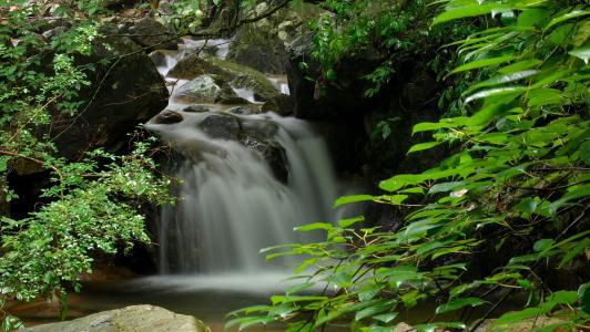 浙江开化的旅游景点和美食小吃全都在这啦，开化旅游景点全攻略
