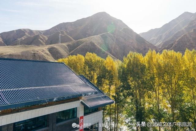 武威周边旅游景点推荐一日游，甘肃武威自驾游8个景点大盘点