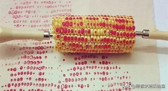 擀面杖如何制作，有时候擀面杖也能做出艺术甜品