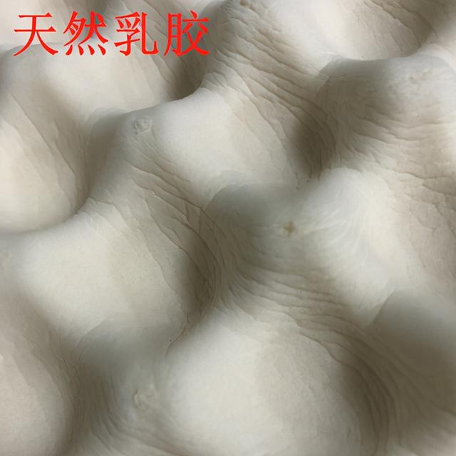 真正的乳胶枕图片，天然乳胶枕怎么辨别（教你分辨真假天然乳胶枕）