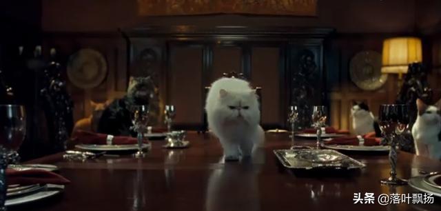 感动全球的几大狗狗电影，感动全球的九大狗狗电影