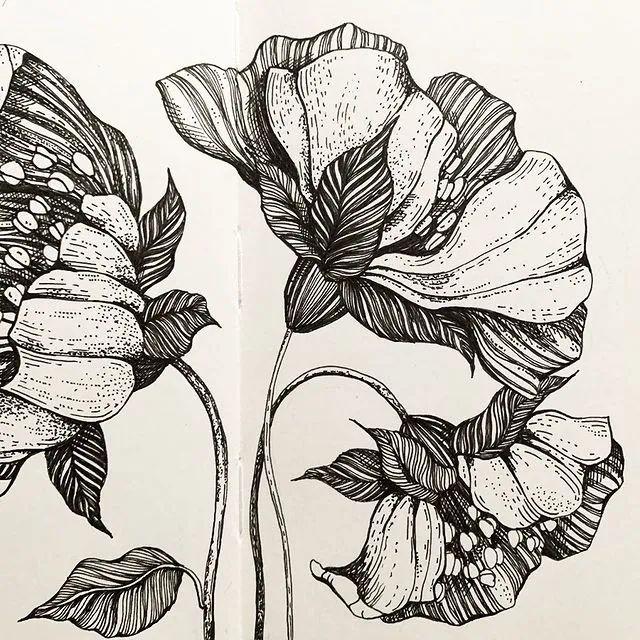 妙笔生花水墨画教程，教科书级别的植物线描