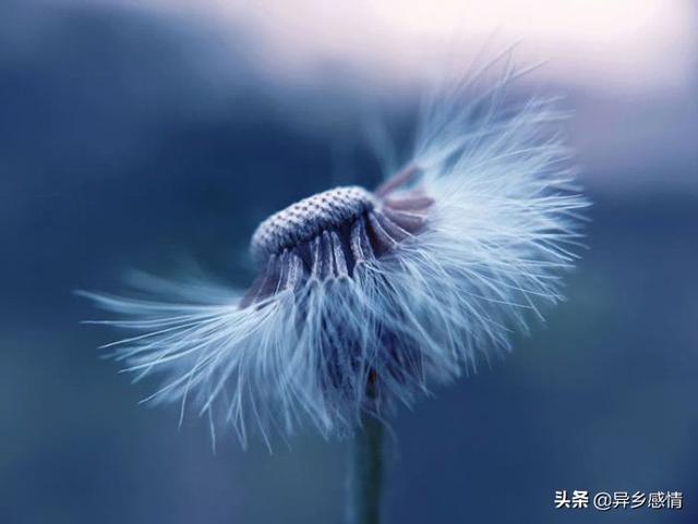 励志强者语录经典短句早安，一个人能走多远