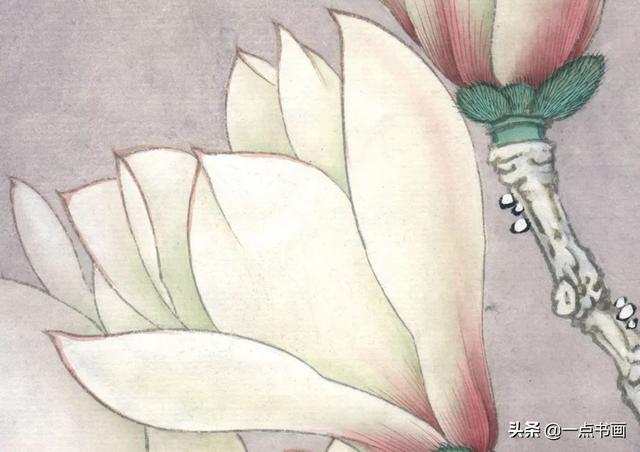 工笔荷花白描，高清工笔荷花白描 110幅