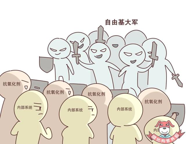 自由基抗氧化剂有什么，盘点若美欣等三大含富勒烯护肤品