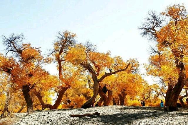 怎样不晕车小妙招，15个小妙方保您旅途一路顺风不再晕车（如何不晕车小妙招）