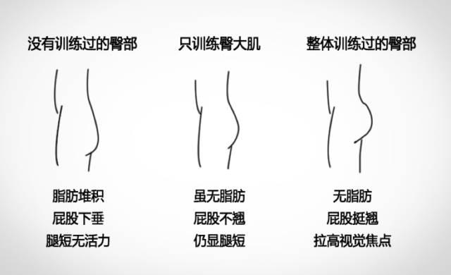 為短腿煩惱？試試3個練臀動作，打造飽滿臀部練出纖細長腿 健身減肥達人 第4张