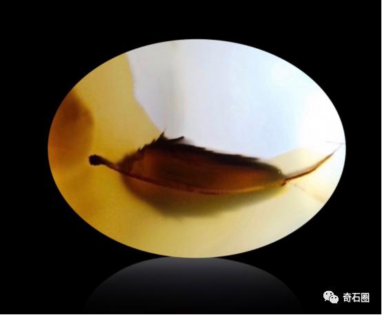 最不舍得卖的石头，大师级石头作品