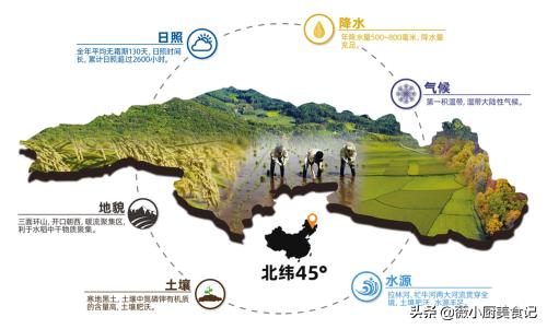 五常大米的执行标准哪个最好，这个执行标准必须了解