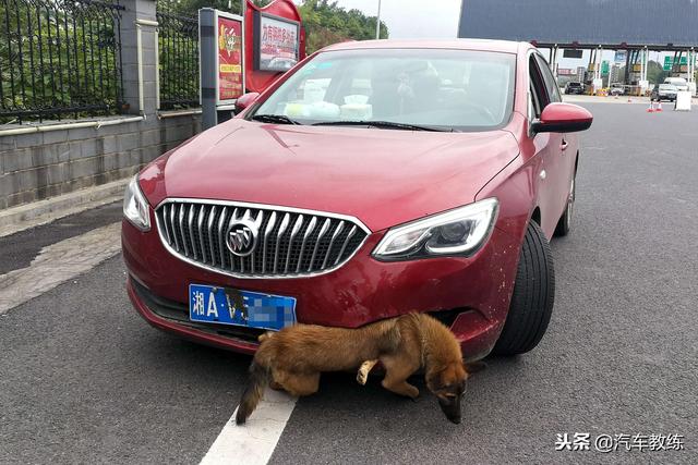 马路杀手女司机，女司机凭什么成了（女司机可以成为马路杀手吗）