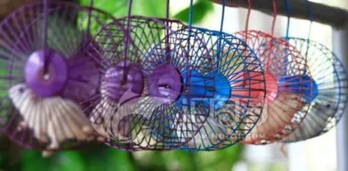 该如何正确的饲养仓鼠呢，教你养护可爱的小仓鼠