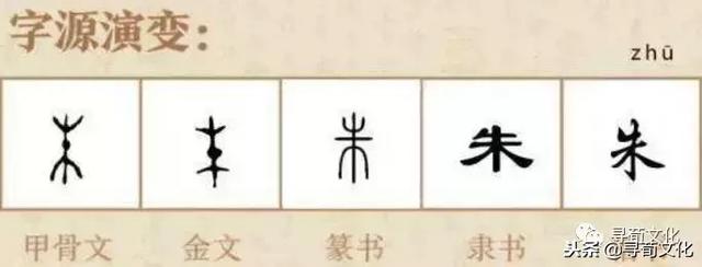 朱-汉字的艺术与中华姓氏文化，古代朱的象形字