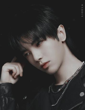 华晨宇女朋友是谁，华晨宇最早的女朋友（男方工作女方甜蜜跟随）