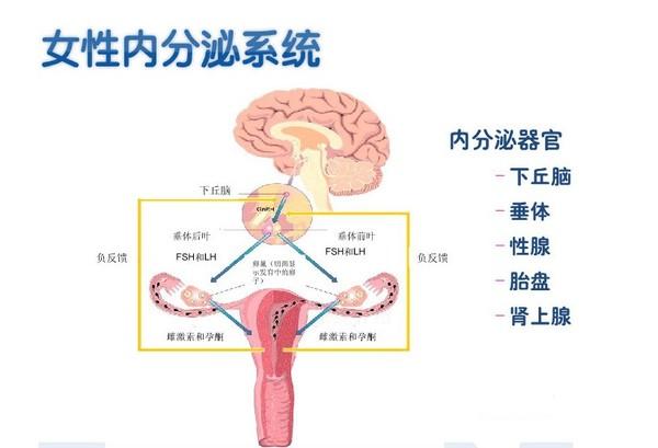 各种斑的区别图片，黄褐斑和雀斑区别图解（晒斑、肝斑、黄褐斑）