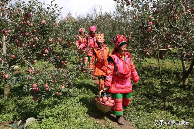 云南蒙自草坝景点，昆明旁这座云南最慢小城